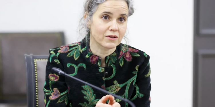 «Բաքվում հանդիպումների ժամանակ լսել եմ հայտարարություններ, որոնք տարբերվում են հանրային տիրույթում նրանց ելույթներից». ԵՄ ներկայացուցիչ