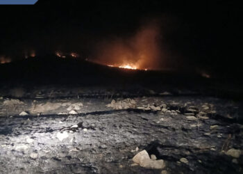 Հրդեհ Գորիս քաղաքում․ փրկարարները կանխել են դրա տարածումը