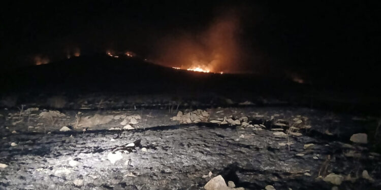 Հրդեհ Գորիս քաղաքում․ փրկարարները կանխել են դրա տարածումը