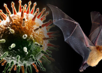 Չինաստանում չղջիկների մոտ նոր կորոնավիրուս է հայտնաբերվել. SCMP