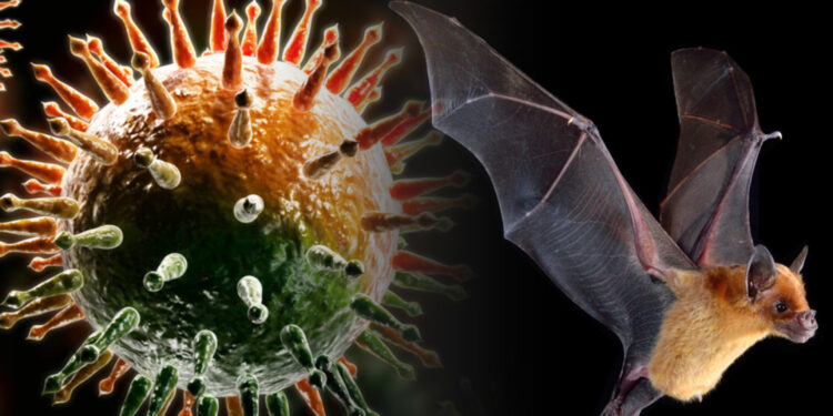 Չինաստանում չղջիկների մոտ նոր կորոնավիրուս է հայտնաբերվել. SCMP