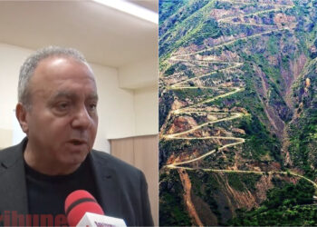 Չկա՛ Մեղրիի տարբերակի փաստաթուղթ, եթե կա՝ հրապարակեք, հազար խոսակցություն կարա լինի. տեսանյութ