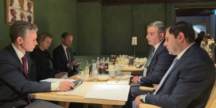 Պապիկյանն ու Շվեդիայի պաշտպանության նախարարը քննարկել են պաշտպանության բնագավառում ՀՀ-Շվեդիա համագործակցության հեռանկարները