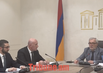 Փարաքարի կրակոցների դեպքերը պիտի գլխատենք, քրեականի պետը պիտի զեկուցի՝ ինչքան ապօրինի զենք կա. տեսանյութ