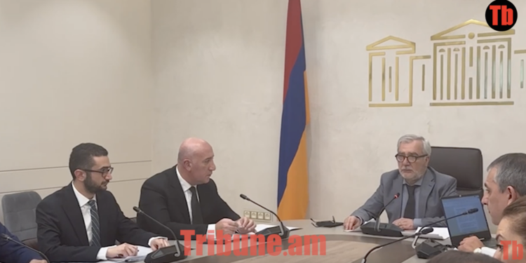 Փարաքարի կրակոցների դեպքերը պիտի գլխատենք, քրեականի պետը պիտի զեկուցի՝ ինչքան ապօրինի զենք կա. տեսանյութ