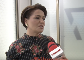 Գնալով քչանում է մեր ոտքի տեղը աշխարհում, տարբերակ չունենք, պիտի լինենք. Մարջան Ավետիսյան. տեսանյութ