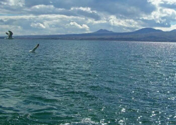 Սևանա լճի մակարդակը փետրվարի 3-9-ն անցած տարվա նույն օրվա ցուցանիշից բարձր է 22 սմ-ով