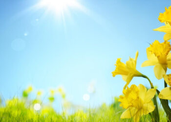 Մարտ ամսվա ընթացքում օդի ամսական միջին ջերմաստիճանը կանխատեսվում է նորմայից բարձր 1-2 աստիճանով