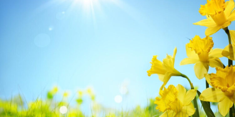 Մարտ ամսվա ընթացքում օդի ամսական միջին ջերմաստիճանը կանխատեսվում է նորմայից բարձր 1-2 աստիճանով