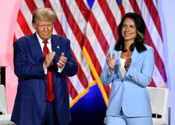 Սենատը հայամետ Թուլսի Գաբբարդին հաստատել է Ազգային հետախուզության տնօրենի պաշտոնում