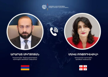 Արարատ Միրզոյանը Վրաստանի ԱԳ նախարարի հետ քննարկել է Հարավային Կովկասում խաղաղության և կայունության ապահովմանն առնչվող հարցեր