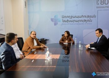 Ավանեսյանը ստոմատոլոգիական ոլորտի խորհրդատուների հետ քննարկել է սոցիալական կրեդիտի առողջապահական ծախսերի փոխհատուցման հարցը