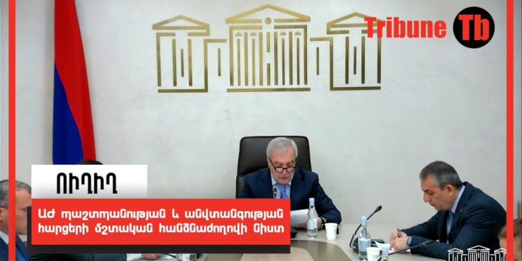 ԱԺ պաշտպանության և անվտանգության հարցերի մշտական հանձնաժողովի նիստ. ՈՒՂԻՂ