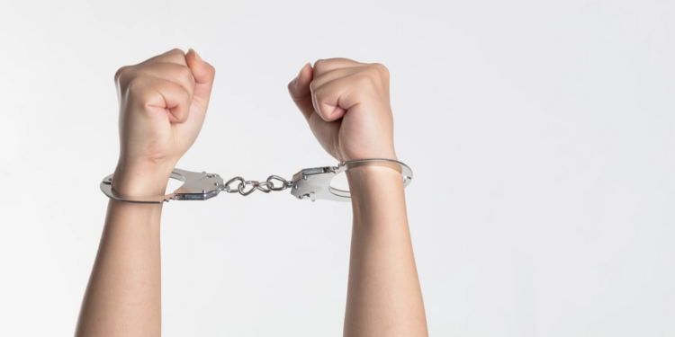 Լեհաստանում ձերբակալվել է «սև շուկայում» 56 երիկամ վաճառած ուկրաինուհին. զոհերի թվում կան ՀՀ բնակիչներ