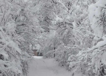 Լոռիում ձյան ծածկի բարձրությունը հասնում է մինչև 30 սմ. Սուրենյան