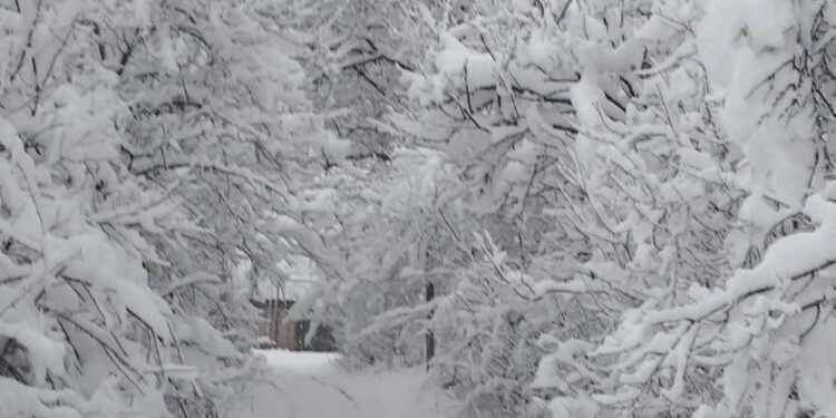 Լոռիում ձյան ծածկի բարձրությունը հասնում է մինչև 30 սմ. Սուրենյան