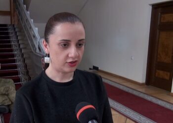 ՔՊ-ական պատգամավոր Էմմա Պալյանին զրկել են խոսքի իրավունքից. միայն կարող է կիսվել «մեր Սարիկի» նյութերով․ «Ժողովուրդ»