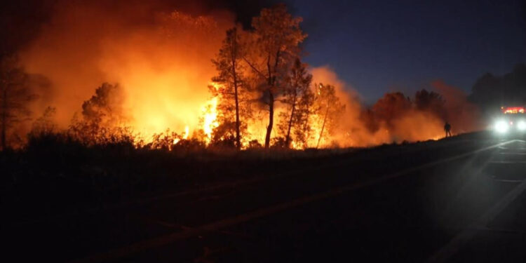 ԱՄՆ-ում մոլեգնում են անտառային հրդեհները
