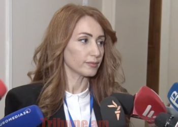 Քարշ տալով, գետնին գցելով ՊՊԾ աշխատակիցները պաստառը խլեցին ձեռքիցս. Հռիփսիմե Ջեբեջյան. տեսանյութ