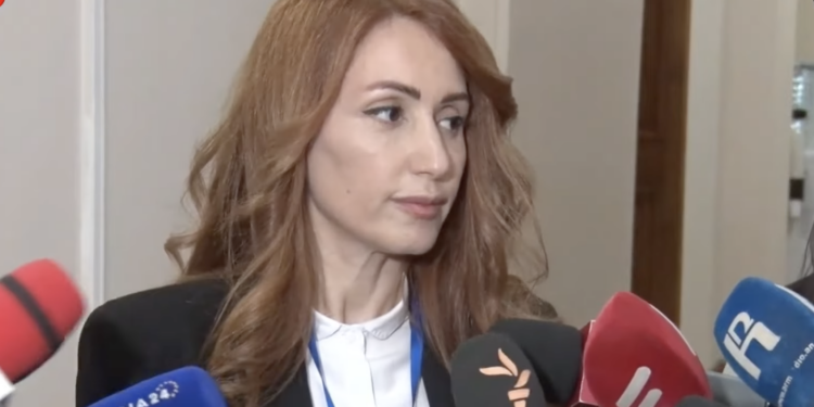 Քարշ տալով, գետնին գցելով ՊՊԾ աշխատակիցները պաստառը խլեցին ձեռքիցս. Հռիփսիմե Ջեբեջյան. տեսանյութ