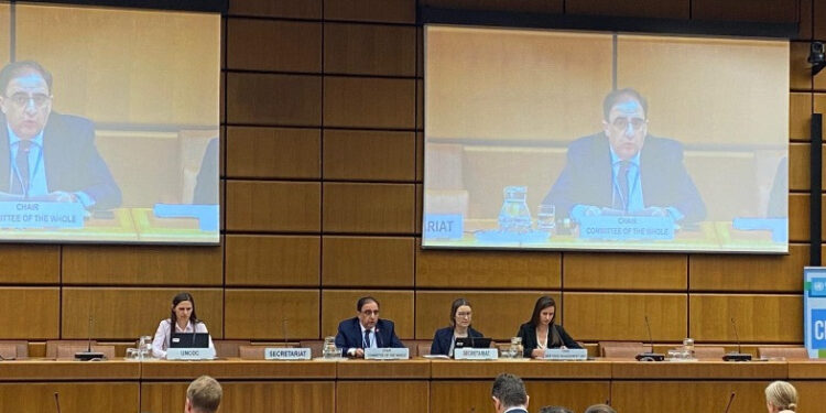 Հայաստանի ներկայացուցիչն ընտրվել է ՄԱԿ-ի Թմրամիջոցների հարցերով հանձնաժողովի առաջին փոխնախագահի պաշտոնում