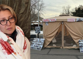 Մանե Թանդիլյանին շտապօգնության մեքենայով տեղափոխել են հիվանդանոց