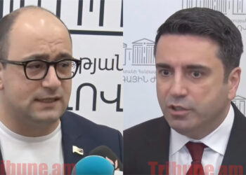 Ալեն Սիմոնյանի ճեպազրույցը ինքնախոստովանական էր. Մամիջանյան. տեսանյութ