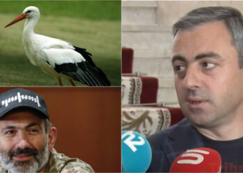 «Ո՞վ բերեց Փաշինյանին», «Արագիլը». տեսանյութ