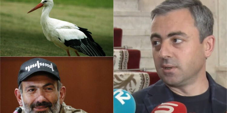 «Ո՞վ բերեց Փաշինյանին», «Արագիլը». տեսանյութ