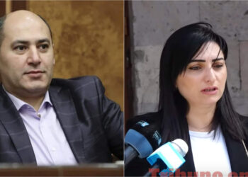 Մարտուն Գրիգորյանի դեմ իրականացված այս արշավը ոչ այլ ինչ է, քան քաղաքական հրահանգ. Թագուհի Թովմասյան. տեսանյութ