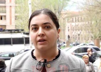 Չեն ապահովում նվազագույն պայմանները, որ մայրը կարողանա իր երեխային կերակրել. Նարե Սիմոնյան. տեսանյութ