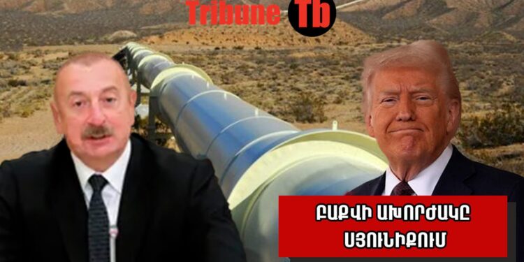 Ալիևի բիզնես-առաջարկը կգայթակղի՞ Թրամփին