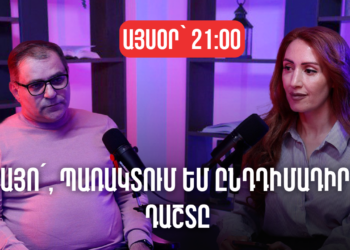 Եթե ամեն տրուսիկ կախողին ձերբակալեինք, տեղ չէինք հասնի, իսկ Ռադիոտանը 2 ոստիկան էին, պիտի կրակեի՞ն. Նարեկ Մալյան