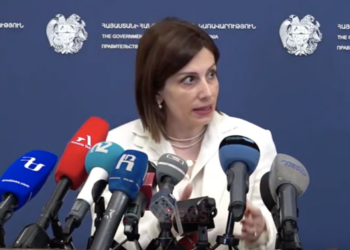 «Եթե մտածում են՝ բուժաշխատողներին ստիպում եմ, որ ընտրեն Սարիկին, թող իրավապահ մարմիններին դիմեն». Անահիտ Ավանեսյան