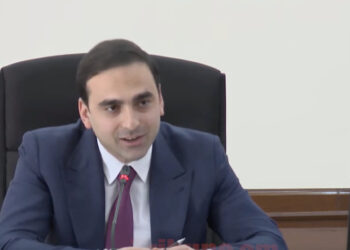 Ինձ ինքնաթիռում մանիկյուր ու պեդիկյուր չեն արել, $20 հազար տոմսի փողը վերադարձրել եմ.Ավինյան. տեսանյութ