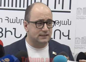 Տները, մեքենաները, ՔՊ-ի բոլոր հաջողությունները իրենց հայտարարագրերում են. Մամիջանյան. տեսանյութ