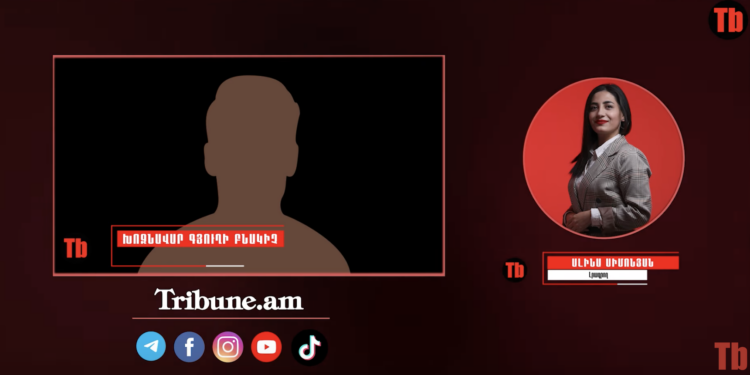 Ժամը մեկ կրակում են, երեւի սպասում են՝ մենք էլ կրակենք, ու սկսեն պատերազմը. տեսանյութ