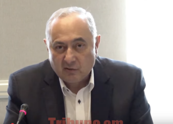 Մեր հասարակությունը հիվանդ է, առողջ բջիջները պետք է համախմբել. Չարչյանի ախտորոշումը. տեսանյութ