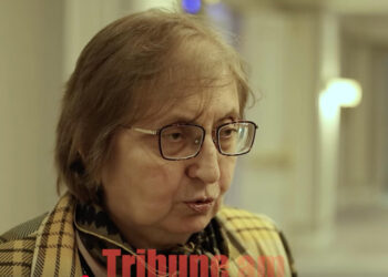 Դատավորներ գիտեմ, որ սպասում էին զանգի, ասում էին՝ լսել եմ էսինչի բարեկամն ա, բայց ձեն հանող չկա. տեսանյութ