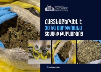 Կանխվել է շուրջ 450 միլիոն դրամի թմրամիջոցը մանր չափերով Հայաստանում իրացնելու փորձը