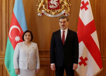 «Վրաստանն աջակցում է Հրվ. Կովկասում խաղաղությանը և պատրաստ է շարունակել ներդրում ունենալ այս գործընթացում». նախագահ Կավելաշվիլին՝ Գաֆարովային