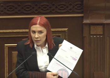 Ձեզ ոչ միայն հարկելու են, նաև դատելու են, հարգելի քաղաքացիներ. Ագնեսա Խամոյան. տեսանյութ