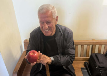 Փաշինյանի ուղղությամբ խնձոր նետած Ալբերտ Առստամյանն արդարացվել է