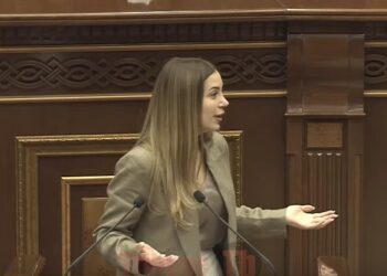 Թքում եք վրան, ասում եք համբալ, մուննաթ եք գալիս, էս ի՞նչ վերաբերմունք է. Աննա Գրիգորյան. տեսանյութ