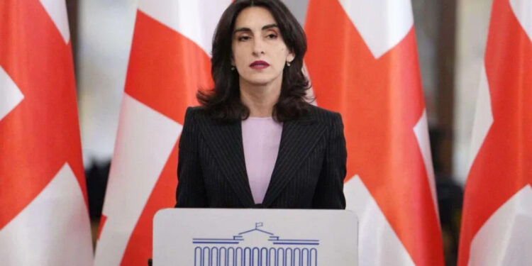 «Հայաստանն ու Ադրբեջանը միշտ կարող են օգտագործել Վրաստանը որպես երկխոսության հարթակ». Վրաստանի ԱԳ նախարար