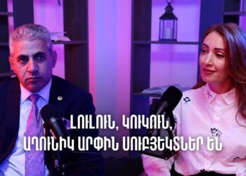 Աղազարյանի մի քանի ոչխար ՔՊ-ից արդեն 3 հոգու հանել է, պատկերացնու՞մ եք Նիկոլի հարցը բերենք. Էդգար Ղազարյան