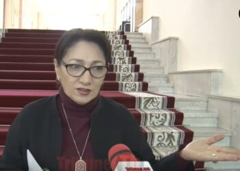 Կամ ներքնաշորից են խոսում, խաշլամայից, զուգարանից, ուտելու շղթան է, սա անբարո է. Լիլիթ Գալստյան. տեսանյութ