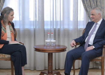 Մհեր Գրիգորյանն ու Մագդալենա Գրոնոն քննարկել են սահմանազատման գործընթացը