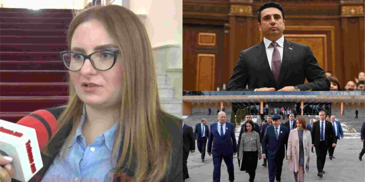 Աշխատավարձս տամ, որ Ալեն Սիմոնյանն ավելի լավ BMW ունենա՞, Փաշինյանը՝շատ պադավա՞տ. Քրիստինե Վարդանյան. տեսանյութ