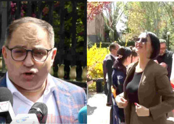 Ընդդիմադիրները Լուսինե Բադալյանի հետ սակուրաներից թիթեռնիկ էին կախում, ի՞նչ անլրջացնել. Մալյան. տեսանյութ